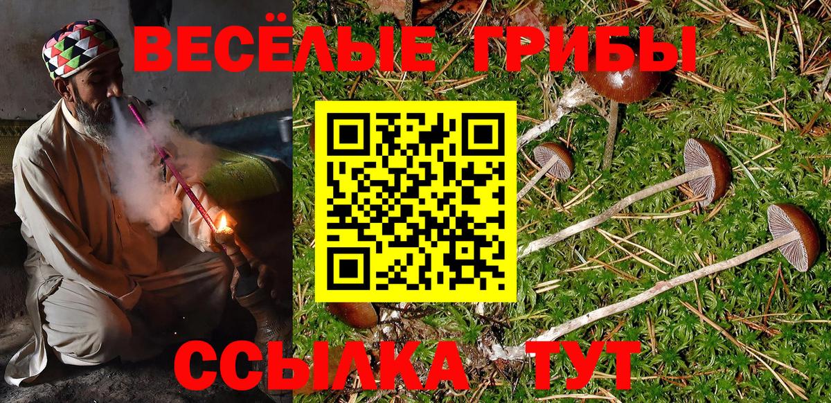 Псилоцибиновые грибы мицелий Ростов Великий
